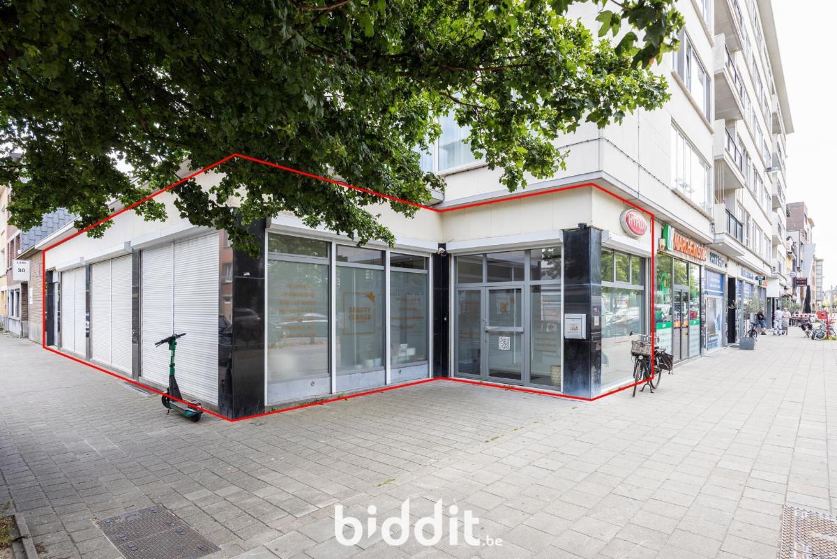Presentatiebeeld van het pand n° 299182