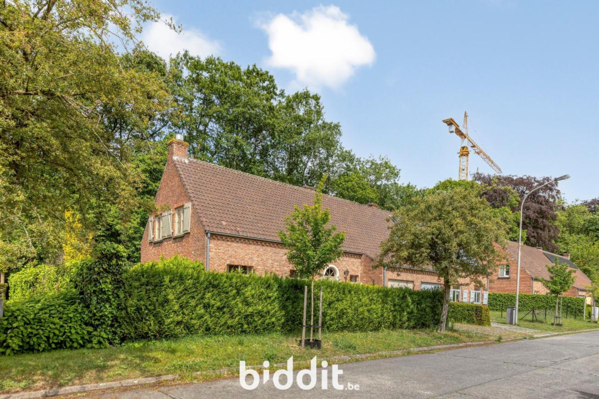 Presentatiebeeld van het pand n° 296942