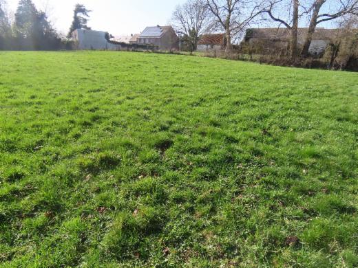 Tweede alternatieve foto van het pand