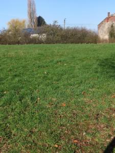 Tweede alternatieve foto van het pand