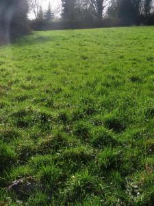 Derde alternatieve foto van het pand