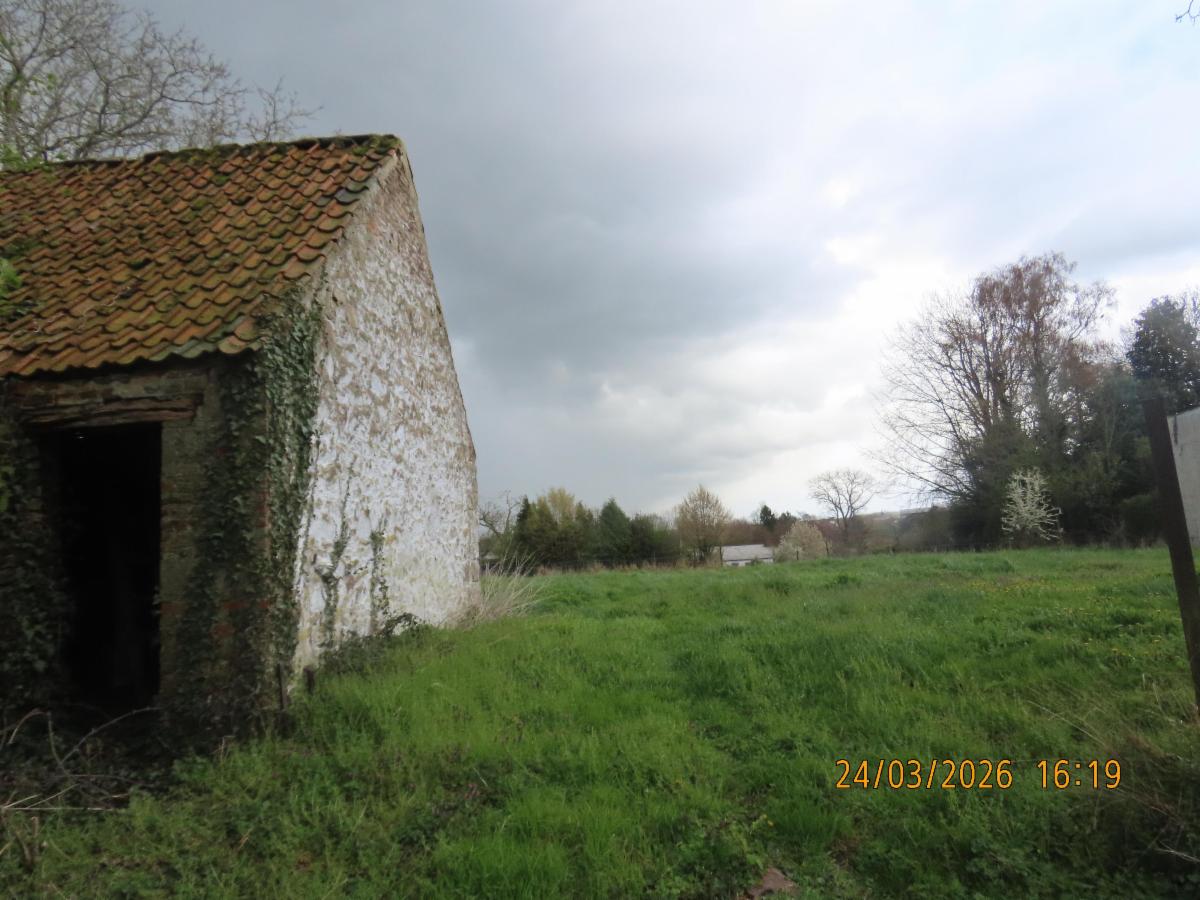 Presentatiebeeld van het pand n° 294788