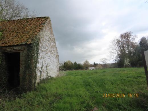 Presentatiebeeld van het pand n° 294788