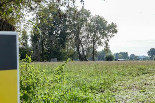 Eerste alternatieve foto van het pand