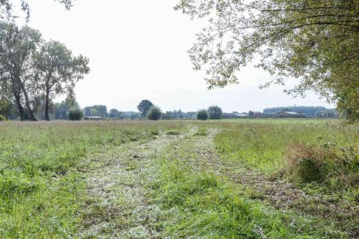 Tweede alternatieve foto van het pand