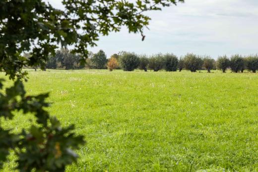 Tweede alternatieve foto van het pand