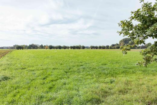 Eerste alternatieve foto van het pand