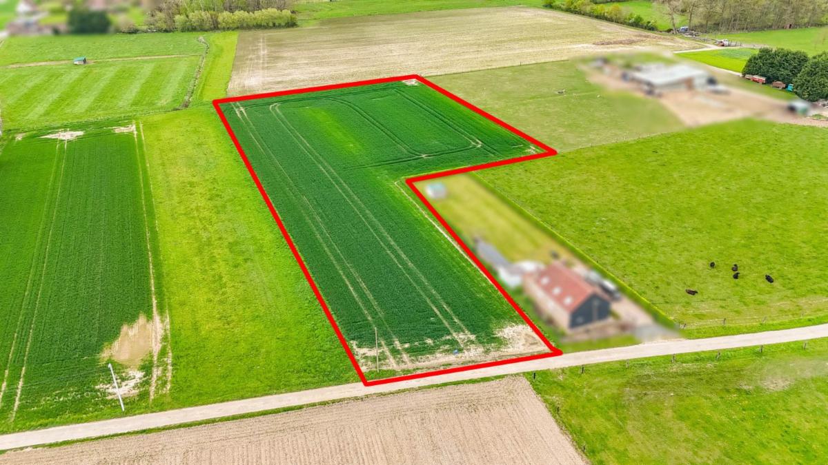 Presentatiebeeld van het pand n° 295566