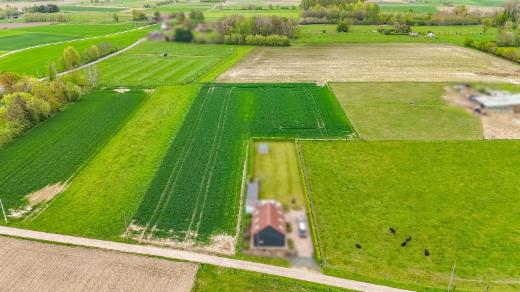 Eerste alternatieve foto van het pand