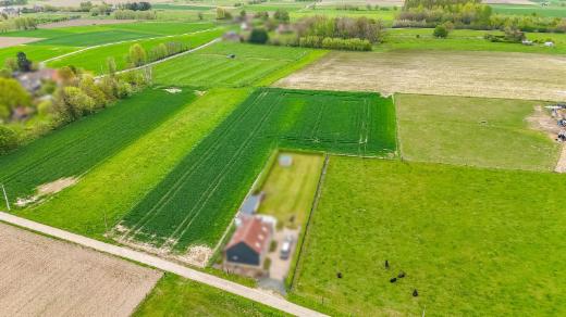 Tweede alternatieve foto van het pand