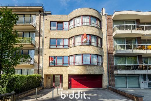 Presentatiebeeld van het pand n° 294884