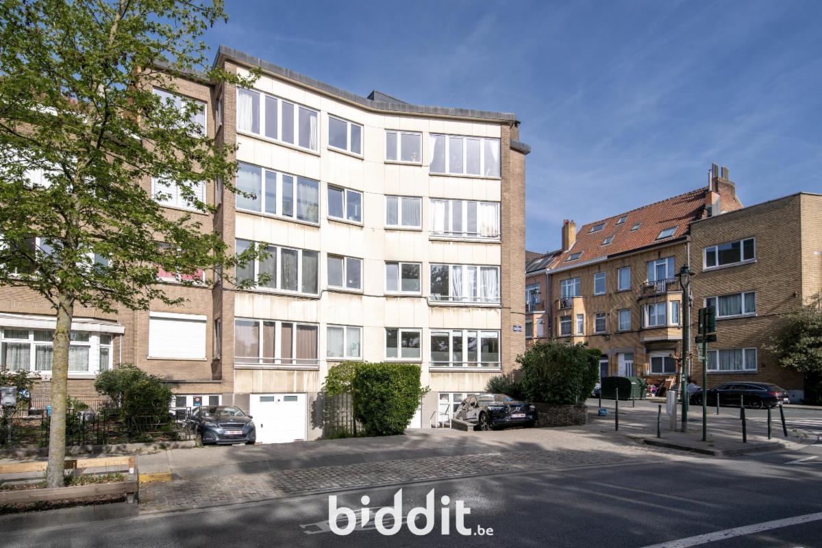 Presentatiebeeld van het pand n° 296094