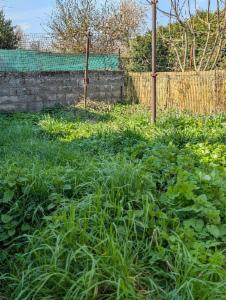 Tweede alternatieve foto van het pand