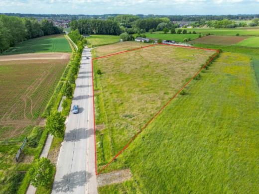 Eerste alternatieve foto van het pand