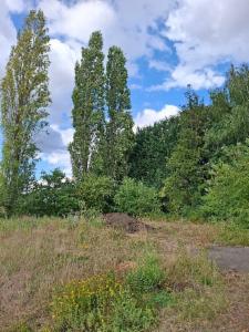 Derde alternatieve foto van het pand