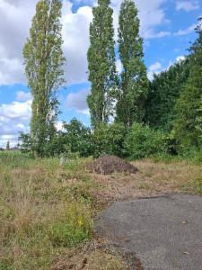 Tweede alternatieve foto van het pand