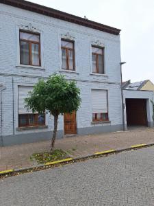 Presentatiebeeld van het pand n° 290263