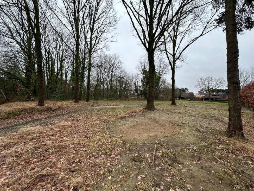 Eerste alternatieve foto van het pand