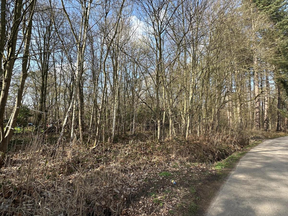 Presentatiebeeld van het pand n° 293654