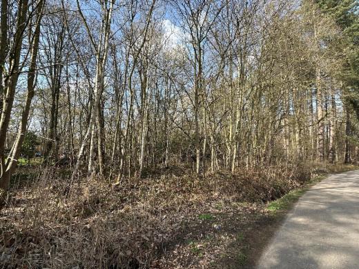 Presentatiebeeld van het pand n° 293654