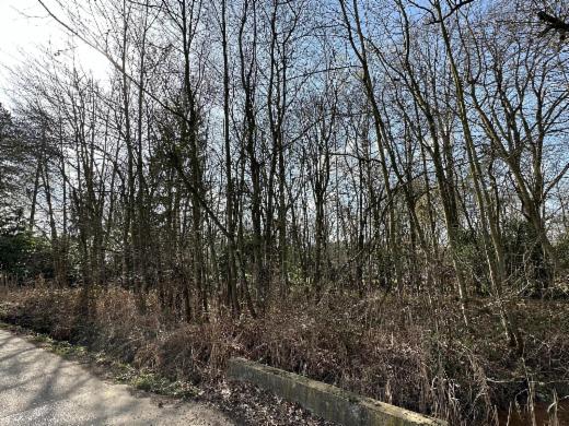 Eerste alternatieve foto van het pand