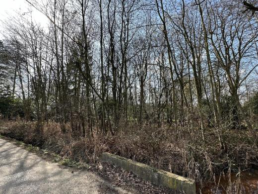 Tweede alternatieve foto van het pand