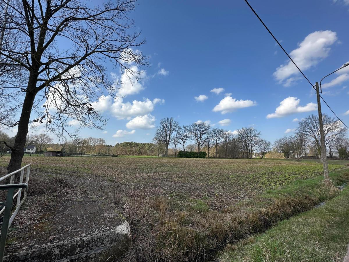 Presentatiebeeld van het pand n° 293913