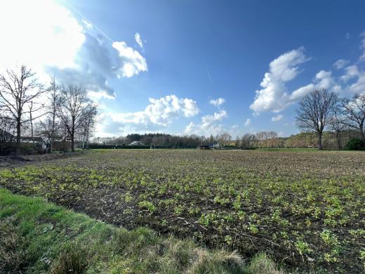 Eerste alternatieve foto van het pand