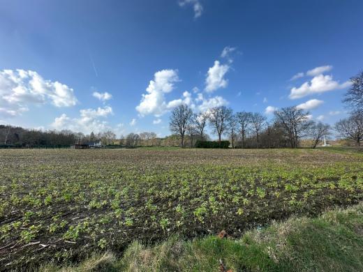 Tweede alternatieve foto van het pand