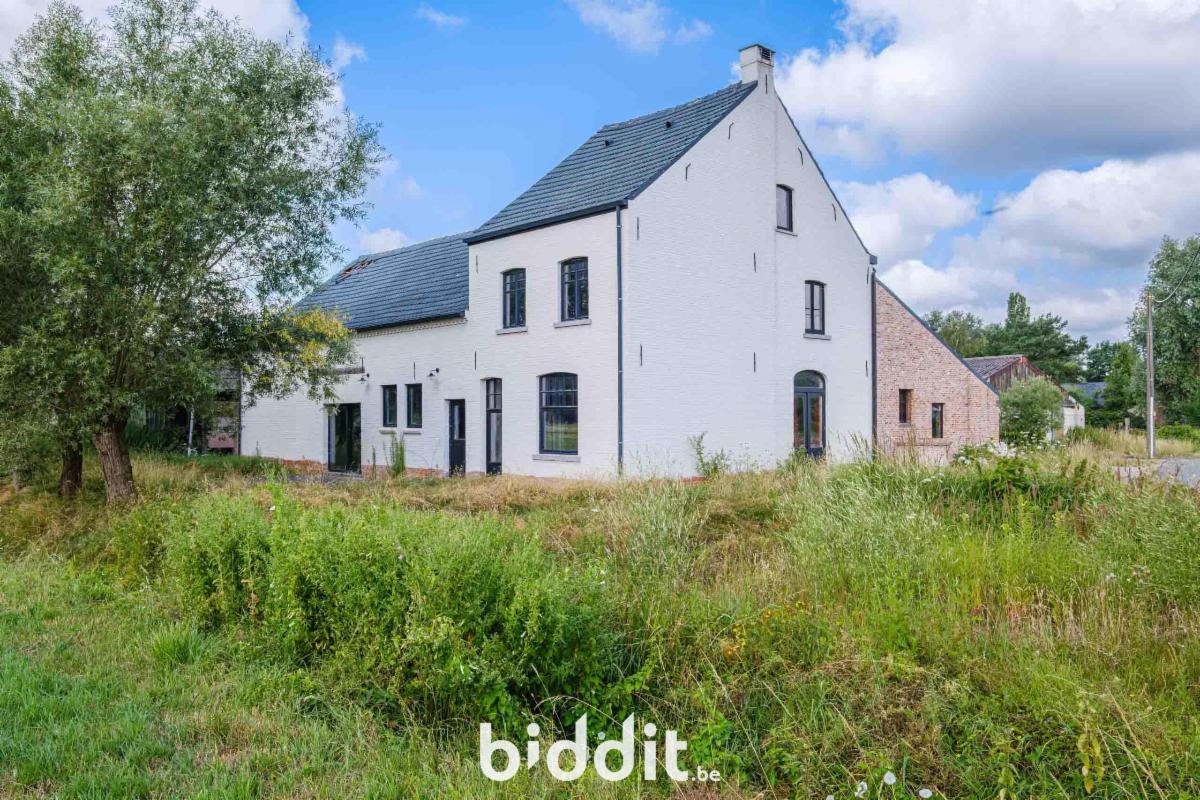 Presentatiebeeld van het pand n° 299423