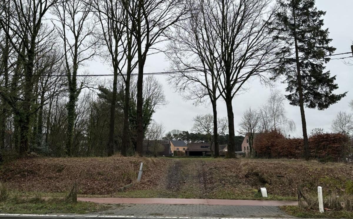 Presentatiebeeld van het pand n° 303283