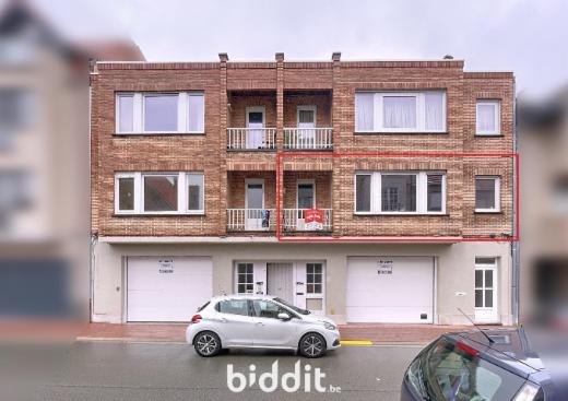 Presentatiebeeld van het pand n° 294187