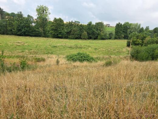 Tweede alternatieve foto van het pand
