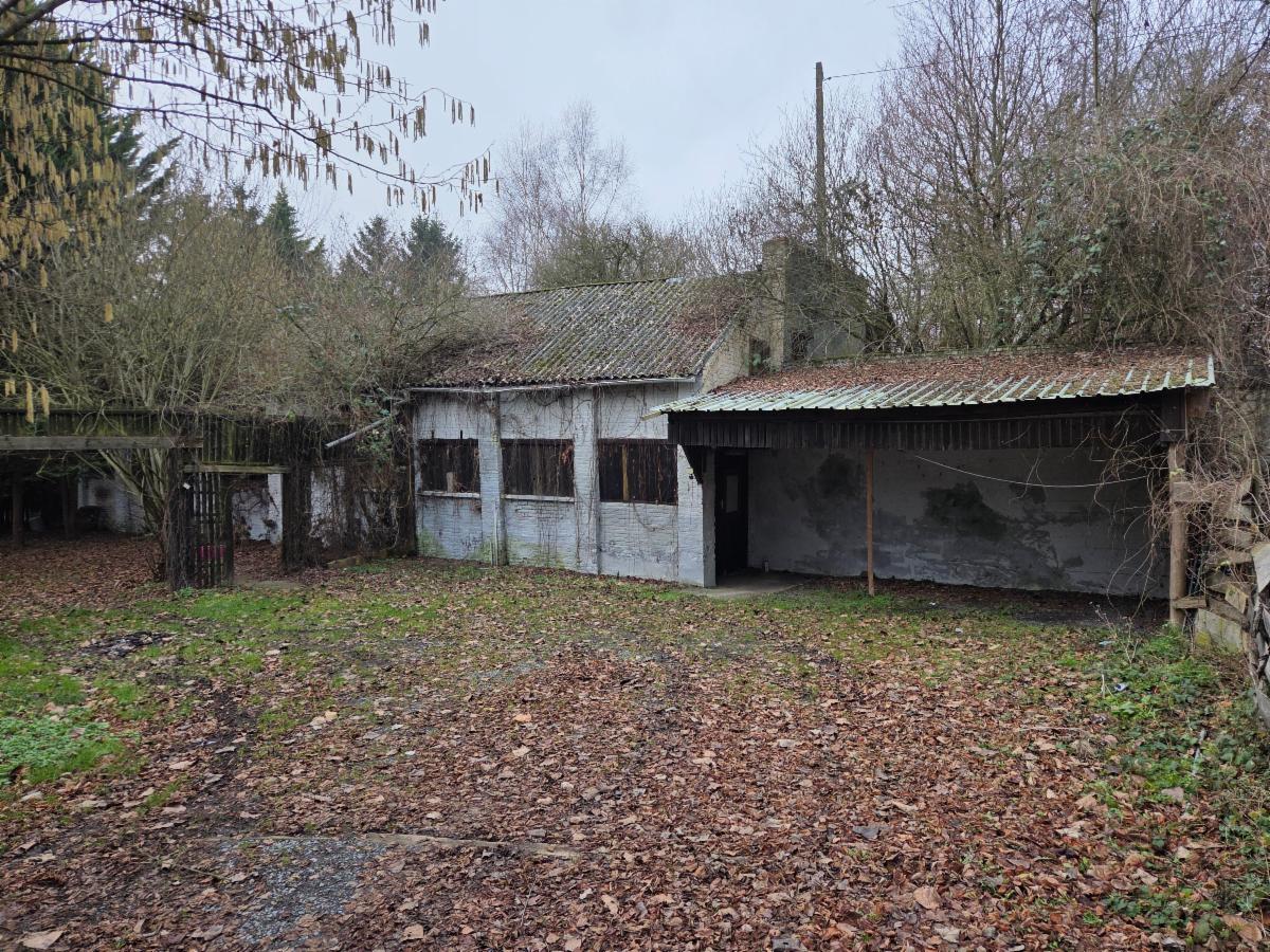 Presentatiebeeld van het pand n° 293473