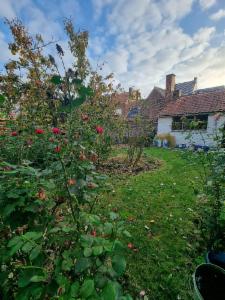 Derde alternatieve foto van het pand