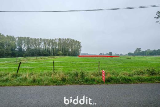 Eerste alternatieve foto van het pand