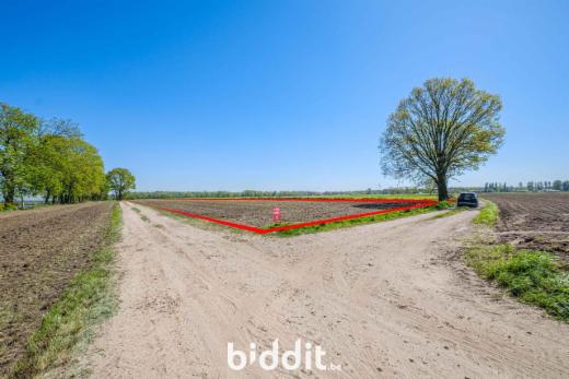 Eerste alternatieve foto van het pand
