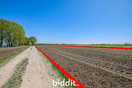 Derde alternatieve foto van het pand