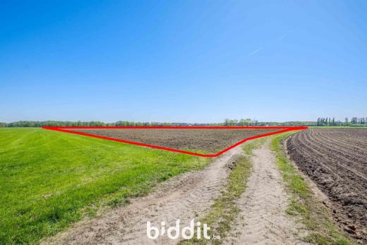 Eerste alternatieve foto van het pand