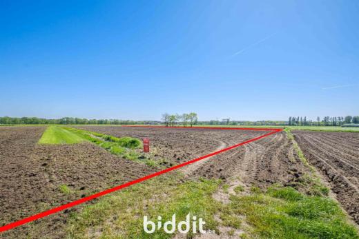 Derde alternatieve foto van het pand