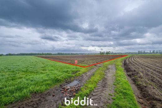 Eerste alternatieve foto van het pand