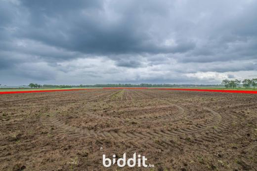 Tweede alternatieve foto van het pand