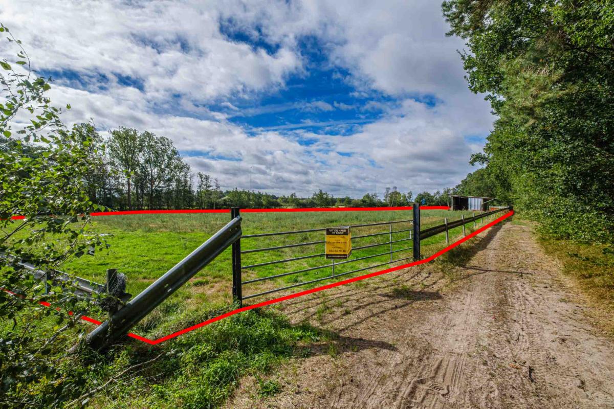 Presentatiebeeld van het pand n° 301424