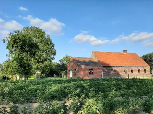 Presentatiebeeld van het pand n° 284756