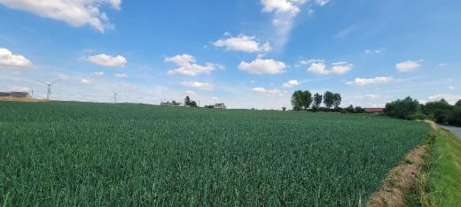 Derde alternatieve foto van het pand