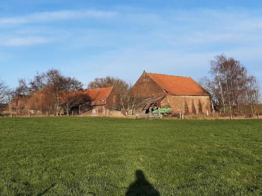 Presentatiebeeld van het pand n° 292471