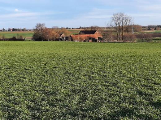 Derde alternatieve foto van het pand