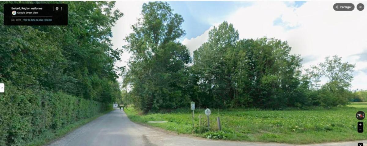 Presentatiebeeld van het pand n° 294960