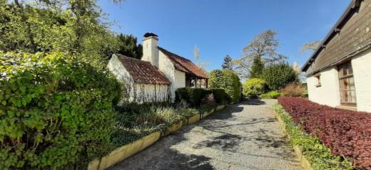 Derde alternatieve foto van het pand