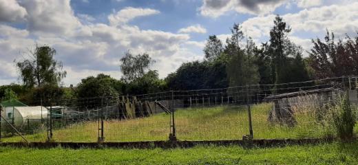 Eerste alternatieve foto van het pand